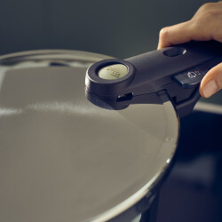 Fissler Vitaquick Elemental Düdüklü Tencere 2,5 Litre - 2